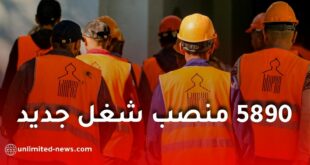 إطلاق 589 مشروعًا جديدًا لدعم التشغيل في الجزائر.. تفاصيل برامج وزارة التضامن لسنة 2026