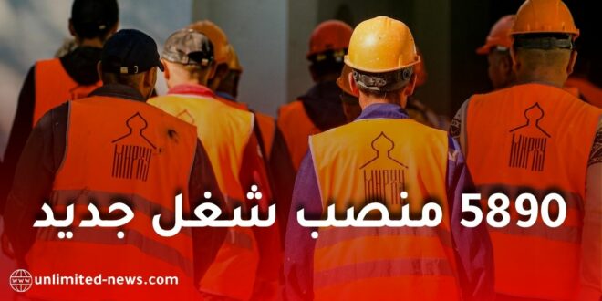 إطلاق 589 مشروعًا جديدًا لدعم التشغيل في الجزائر.. تفاصيل برامج وزارة التضامن لسنة 2026