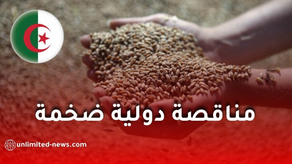 الجزائر تعزز مخزونها من القمح الصلد عبر مناقصة دولية ضخمة