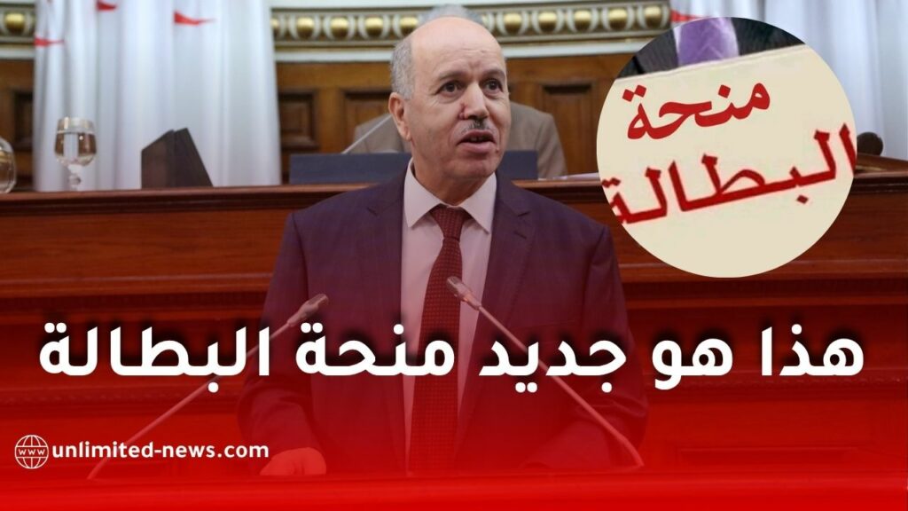 منصة الطعون لمنحة البطالة: تصريح جديد لوزير العمل حول الرقمنة والخدمات الرقمية 2026