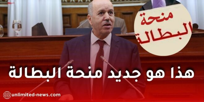 منصة الطعون لمنحة البطالة: تصريح جديد لوزير العمل حول الرقمنة والخدمات الرقمية 2026