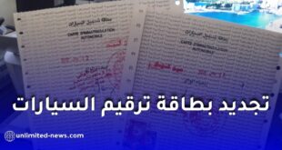 هل يشملك القرار الجديد لترقيم المركبات؟ تعرّف على التفاصيل