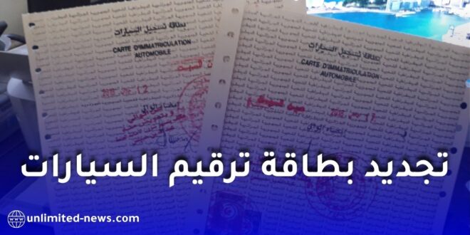 هل يشملك القرار الجديد لترقيم المركبات؟ تعرّف على التفاصيل