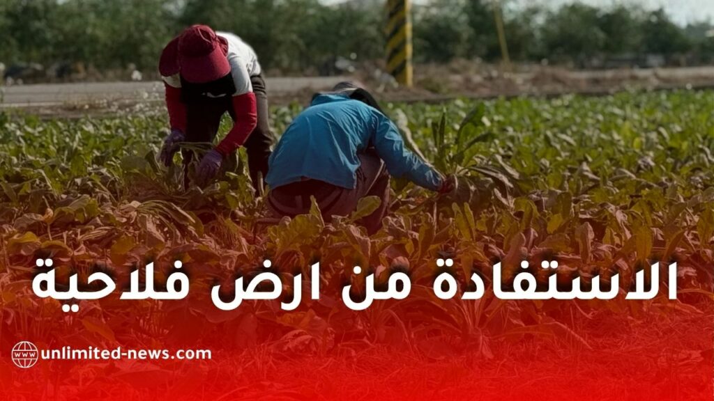 فتح التسجيل للاستفادة من أراضٍ فلاحية عبر منصة onta.dz في 3 ولايات جزائرية