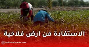 فتح التسجيل للاستفادة من أراضٍ فلاحية عبر منصة onta.dz في 3 ولايات جزائرية