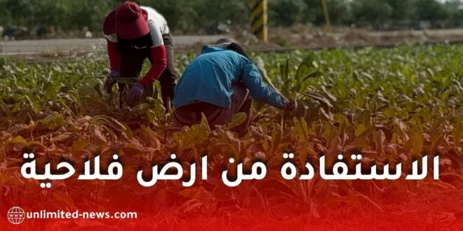 فتح التسجيل للاستفادة من أراضٍ فلاحية عبر منصة onta.dz في 3 ولايات جزائرية