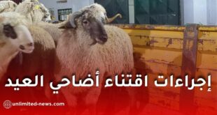وزارة الفلاحة تكشف طريقة شراء أضاحي العيد عبر منصة adhahi.dz وخطوات التسجيل والدفع بالتفصيل