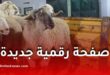 وزارة الفلاحة تطلق صفحة رقمية جديدة ضمن منصة “أضاحي” لمتابعة توفر الأغنام المستوردة