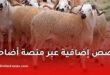 فتح حصص إضافية من الأضاحي عبر منصة “أضاحي” في الجزائر استجابة للطلب المتزايد