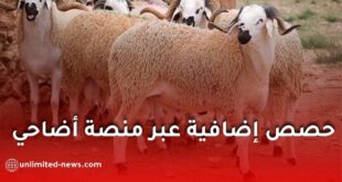 فتح حصص إضافية من الأضاحي عبر منصة “أضاحي” في الجزائر استجابة للطلب المتزايد