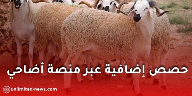 فتح حصص إضافية من الأضاحي عبر منصة “أضاحي” في الجزائر استجابة للطلب المتزايد
