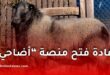 إمكانية إعادة فتح منصة “أضاحي” في الجزائر.. وزارة الفلاحة توضح الشروط والقيود