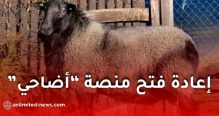 إمكانية إعادة فتح منصة “أضاحي” في الجزائر.. وزارة الفلاحة توضح الشروط والقيود