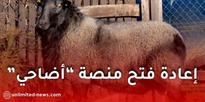 إمكانية إعادة فتح منصة “أضاحي” في الجزائر.. وزارة الفلاحة توضح الشروط والقيود