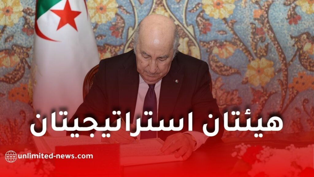 الجزائر تستعد لإطلاق مجلس أعلى للكفاءات ووكالة للآثار