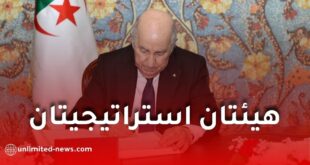 الجزائر تستعد لإطلاق مجلس أعلى للكفاءات ووكالة للآثار