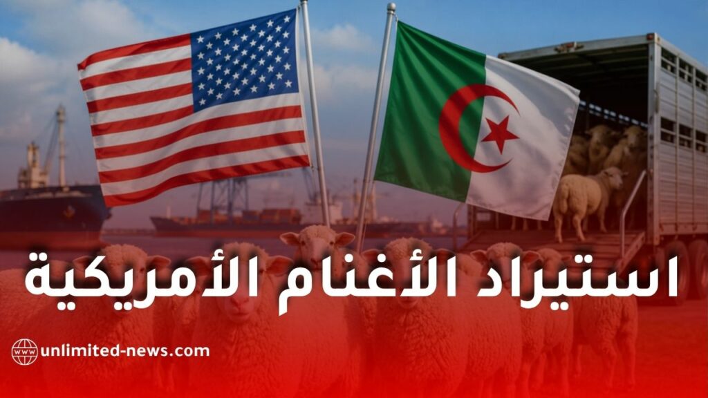 الجزائر تفتح سوقها أمام استيراد الأغنام الأمريكية