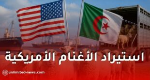 الجزائر تفتح سوقها أمام استيراد الأغنام الأمريكية