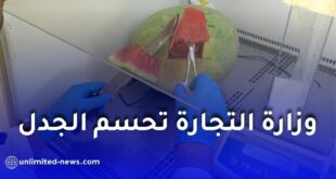 وزارة التجارة تحسم الجدل حول سلامة البطيخ الأحمر في الجزائر