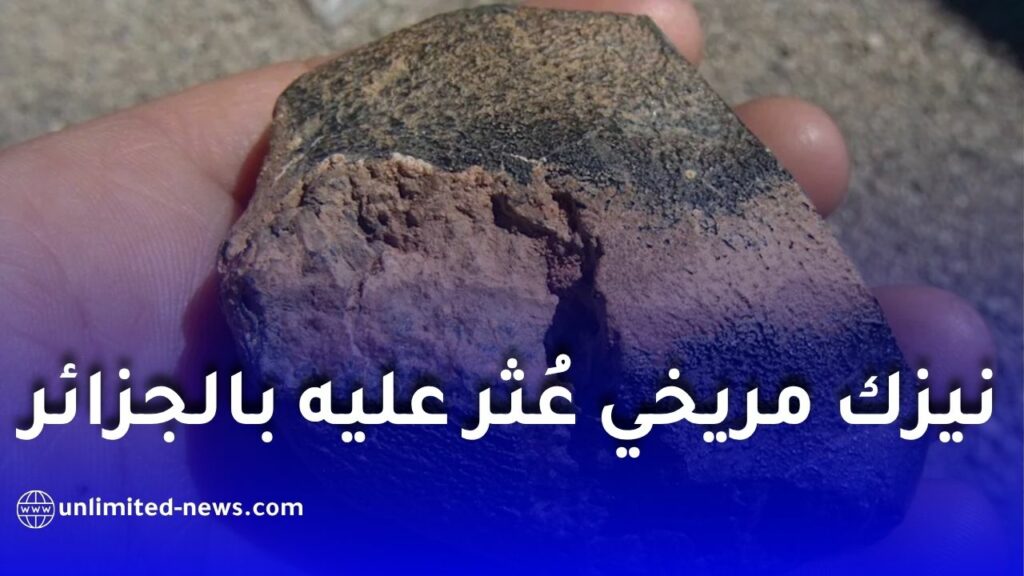 نيزك مريخي عُثر عليه في الجزائر يكشف أسرارًا جديدة عن تاريخ الكوكب الأحمر