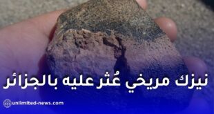 نيزك مريخي عُثر عليه في الجزائر يكشف أسرارًا جديدة عن تاريخ الكوكب الأحمر
