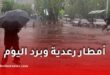 أمطار رعدية وبرد مرتقب اليوم الأربعاء في 29 ولاية.. الأرصاد الجوية تحذر