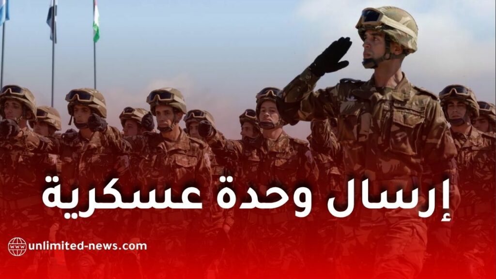 الجزائر توافق على إرسال وحدة عسكرية إلى النيجر.. تفاصيل القرار والتعاون العسكري بين البلدين