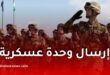 الجزائر توافق على إرسال وحدة عسكرية إلى النيجر.. تفاصيل القرار والتعاون العسكري بين البلدين