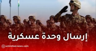 الجزائر توافق على إرسال وحدة عسكرية إلى النيجر.. تفاصيل القرار والتعاون العسكري بين البلدين