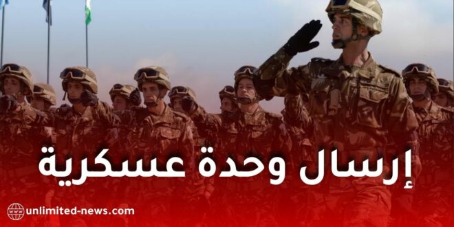 الجزائر توافق على إرسال وحدة عسكرية إلى النيجر.. تفاصيل القرار والتعاون العسكري بين البلدين