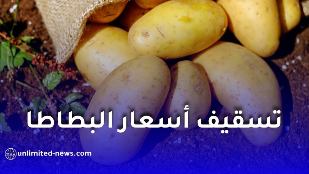 تسقيف أسعار البطاطا في الجزائر.. تحديد سعر البيع من الفلاح والمستهلك