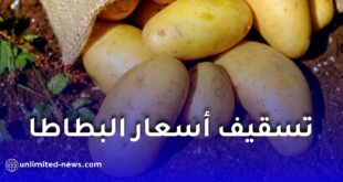 تسقيف أسعار البطاطا في الجزائر.. تحديد سعر البيع من الفلاح والمستهلك