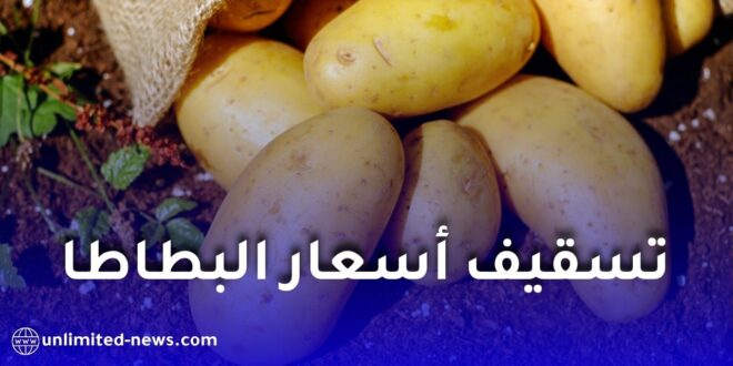 تسقيف أسعار البطاطا في الجزائر.. تحديد سعر البيع من الفلاح والمستهلك